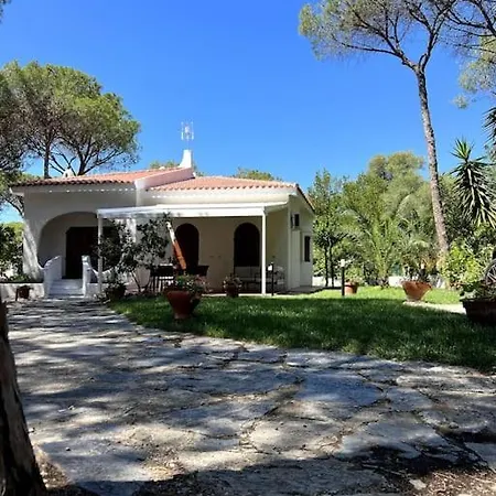 Immersa Nel A 150mt Dal Mare Adiacente Al Village Fort Köyü